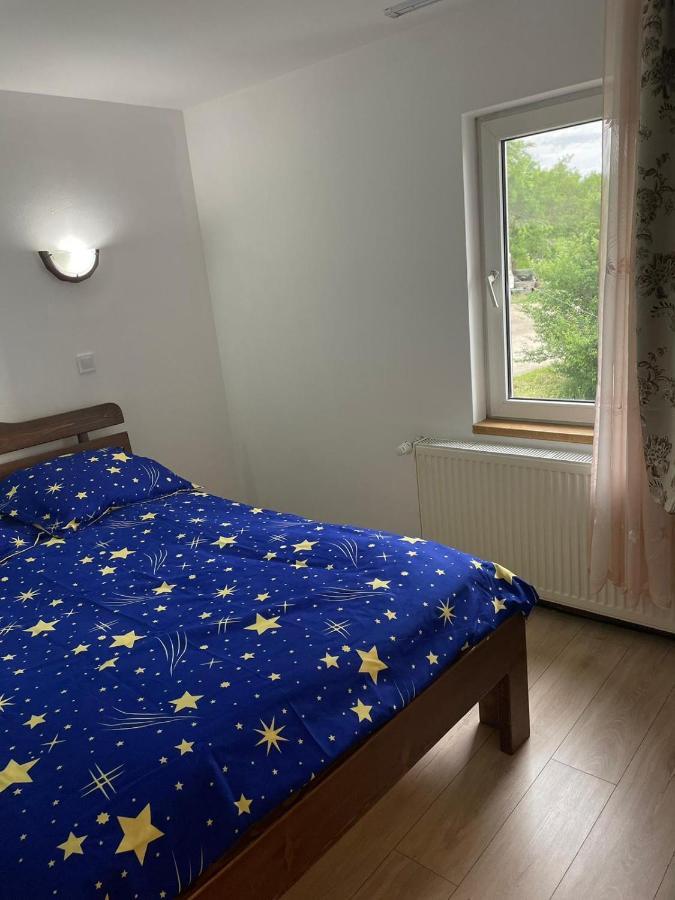Pensiunea Iza Bradu  Eksteriør billede