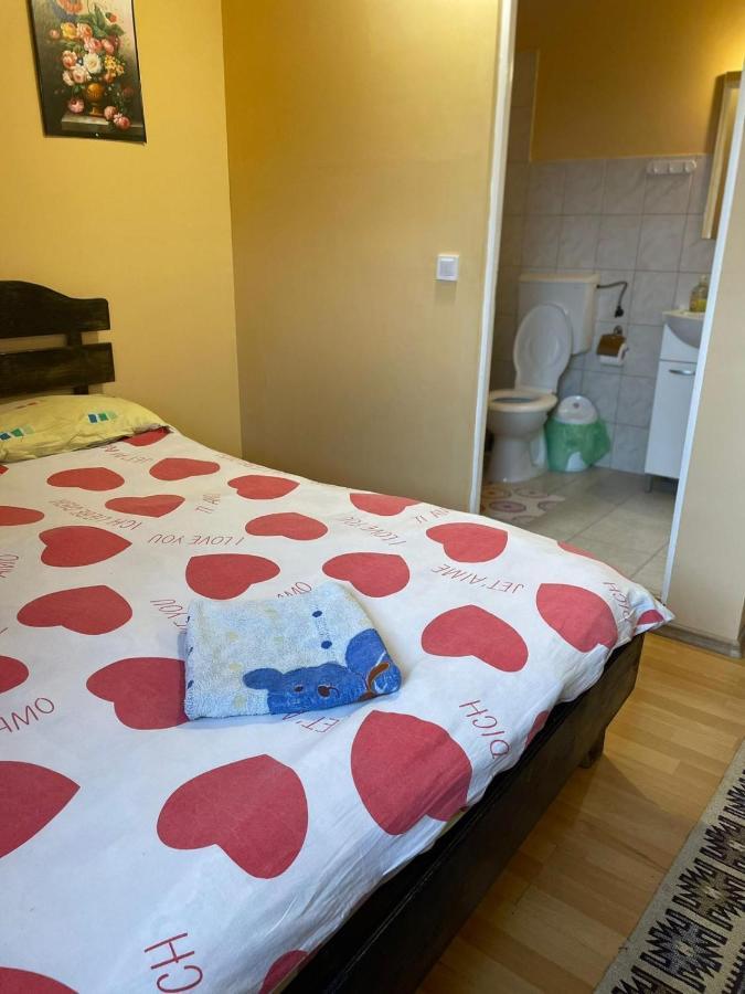 Pensiunea Iza Bradu  Eksteriør billede